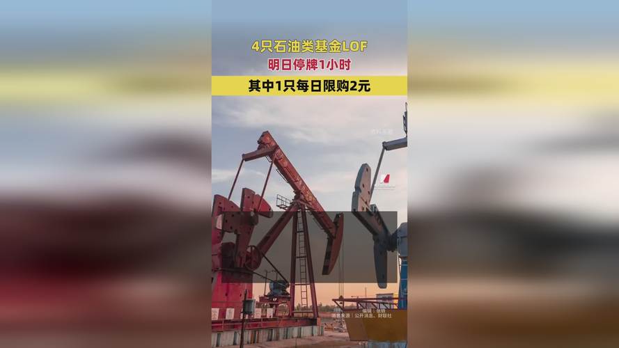 ����ֹͣ��������__����������