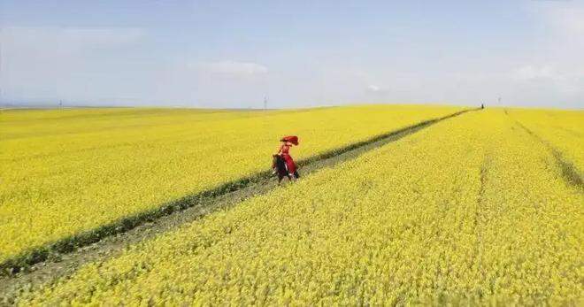 �ٶȺؽ���_�ؽ���ʲô����_