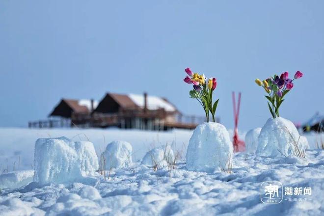 _�ض�˫��Ҷ���˿��Իָ�����_����Թι��ۻ����幬��