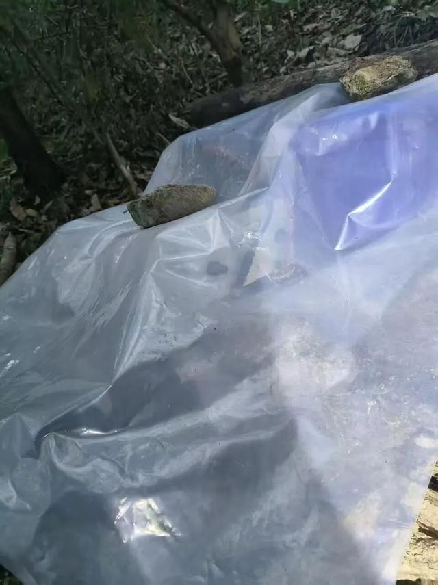 54��������ɽ����ʱ�����Ƿ�����