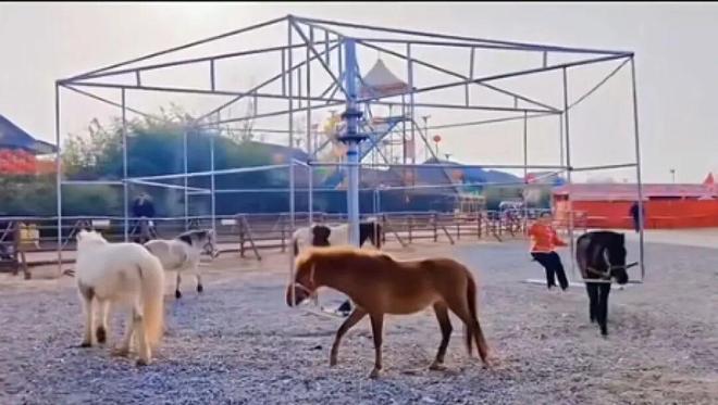 ����һ�����֡���ת��������6ƥ�����̶�������תȦ�������ɡ�Ű�������������Ӧ���ٶȺ���������ͣ����Ŀ__����һ�����֡���ת��������6ƥ�����̶�������תȦ�������ɡ�Ű�������������Ӧ���ٶȺ���������ͣ����Ŀ