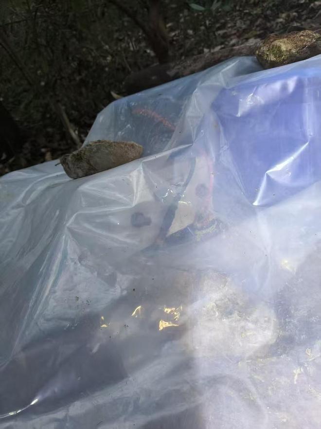 ��Ŀ����ح��ɽ���Ӽ��汻�Ƿ��Բ�װ�õ��������������·��أ��豸���ش��ּ䣬����ϸ��˿��·�������γɡ�������_��Ŀ����ح��ɽ���Ӽ��汻�Ƿ��Բ�װ�õ��������������·��أ��豸���ش��ּ䣬����ϸ��˿��·�������γɡ�������_