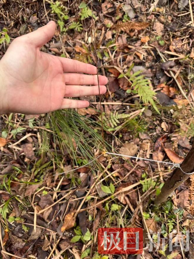 ��Ŀ����ح��ɽ���Ӽ��汻�Ƿ��Բ�װ�õ��������������·��أ��豸���ش��ּ䣬����ϸ��˿��·�������γɡ�������__��Ŀ����ح��ɽ���Ӽ��汻�Ƿ��Բ�װ�õ��������������·��أ��豸���ش��ּ䣬����ϸ��˿��·�������γɡ�������