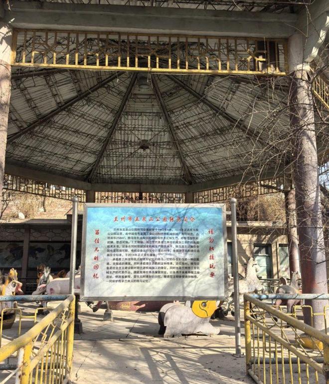 _���ڼ������ͯ��_���������������Ӧ