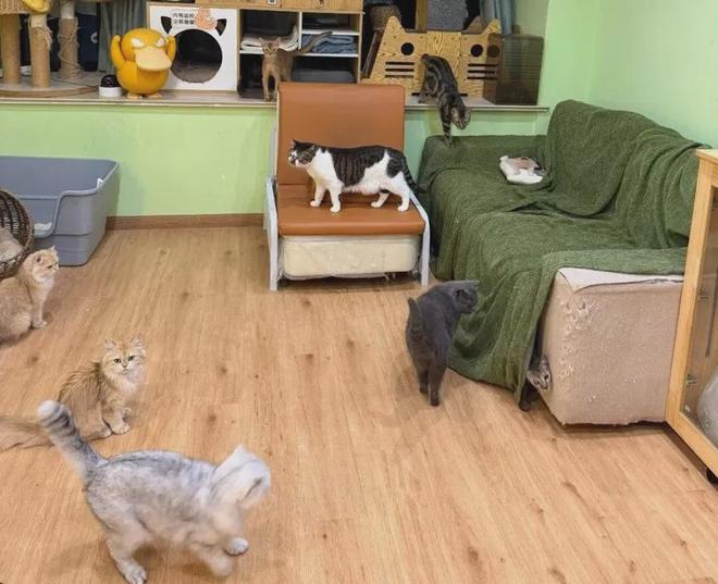 _����95��Ů����������ҹ������4��ࣺ����ǰ���������ˣ�ϣ�������ڳ�ɳ��_����95��Ů����������ҹ������4��ࣺ����ǰ���������ˣ�ϣ�������ڳ�ɳ��