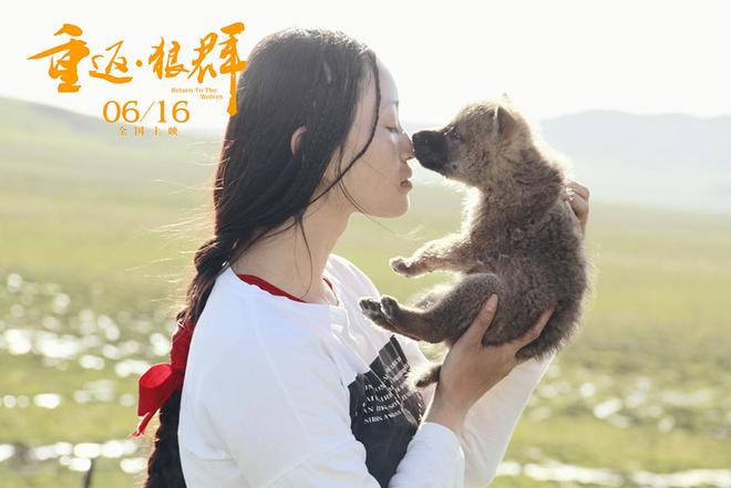 �ط���Ⱥ�ĸ��ֻ�������_�ط���Ⱥ����2���������Ƶ_