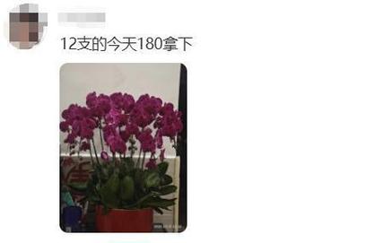 ������������_�������ҷ���_