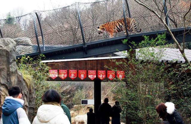 һ������԰������������������