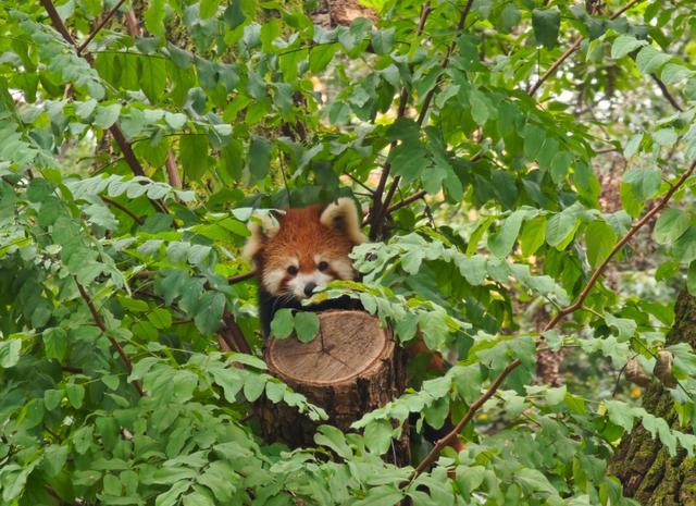 ��������ǿ��ʮ����__���ﱨ������ĺڰ�ͼ