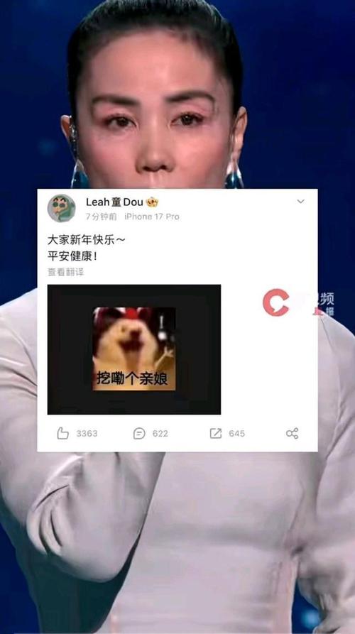 �����ѵ�����˼��ʲô_��������һ�����Ƶĸ�_