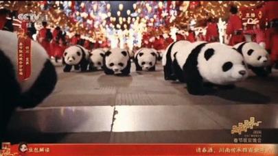 _л�����ഺ������_������̨�ع�