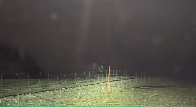 �ຣ��ţ����Ƭ__�ຣ��ţ����