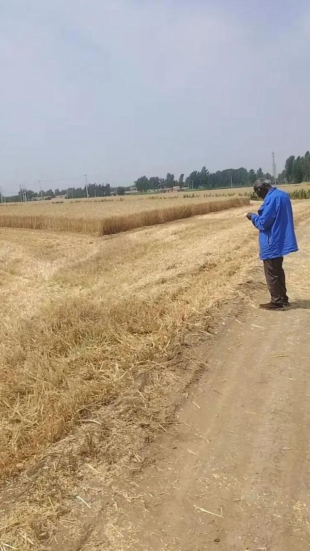 _��ү�������Ůʬ���Ӿ�_��ү������Ƶ