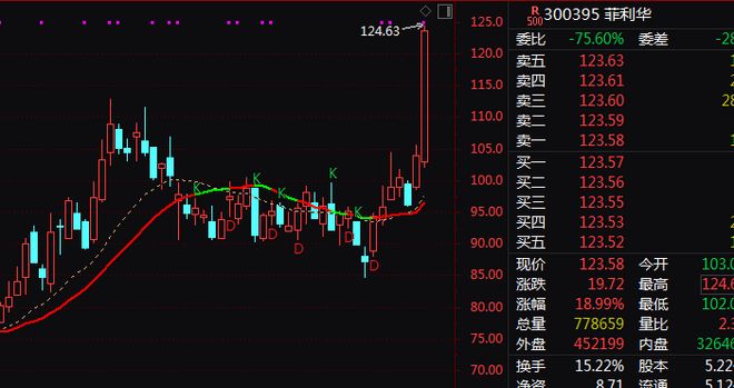 ������Ϊʲô��_�������ͣ_