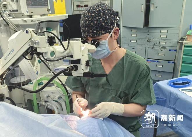 _ȼ�ձ����Σ��_ȼ�ձ���Υ����