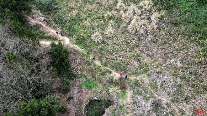 68�����������ʧ8�죺���³���