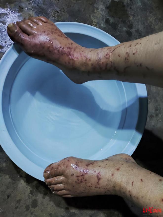 _68�����������ʧ8�죺���³�����������ɽ���ҵ�������ҶΪʳ�漣����_68�����������ʧ8�죺���³�����������ɽ���ҵ�������ҶΪʳ�漣����