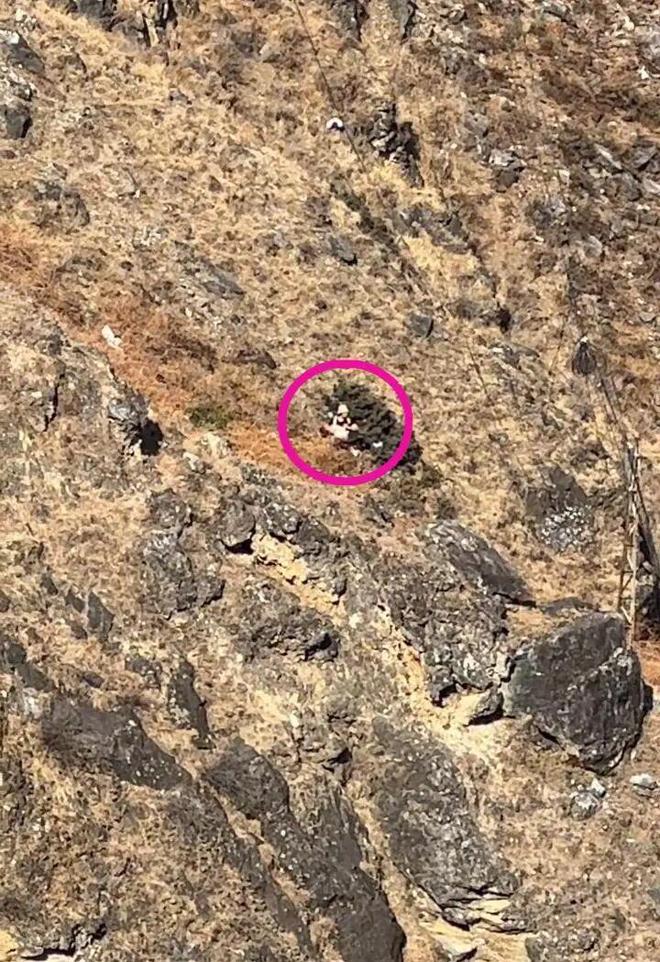 8���к��������ʧ��׹�£�����