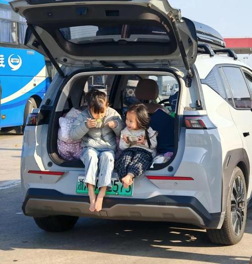 �������������_����������Գ�綯����_