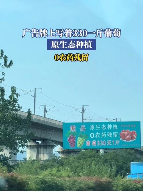 ����330Ԫ/���ݮ360Ԫ/����Ѹ����Ͽ���ˮ������ƾ����ˣ���ֲ��ҵ��Ӧ__����330Ԫ/���ݮ360Ԫ/����Ѹ����Ͽ���ˮ������ƾ����ˣ���ֲ��ҵ��Ӧ