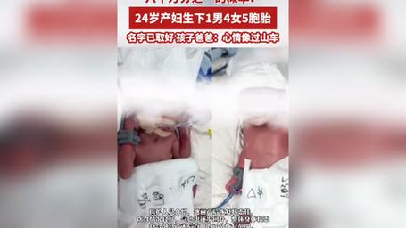 _��ɽ����Ȥ������_��ɽ��ȡ���д��������