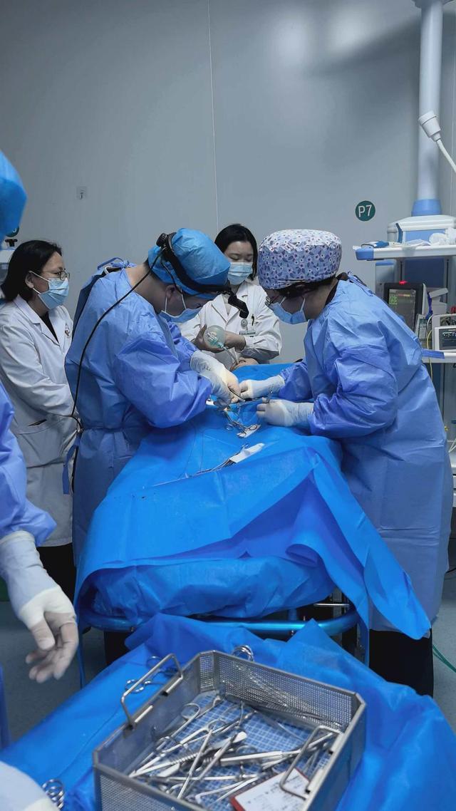 _Ż�³鴤������ʲôԭ��_Ż�³鴤��ʲô��