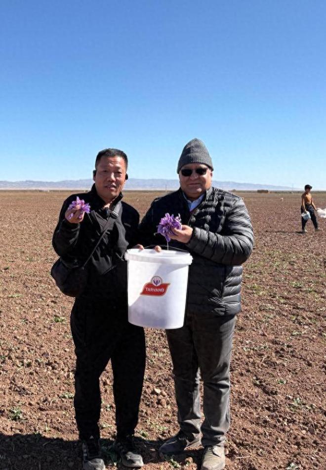 ս�������ʡ���ɫ�ƽ����ٹ�Ӧ