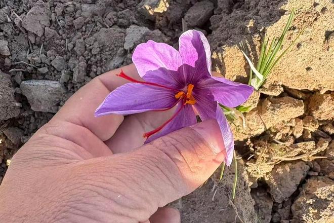 _���ʱ���ս��_����ս����Ҫ��ʼ