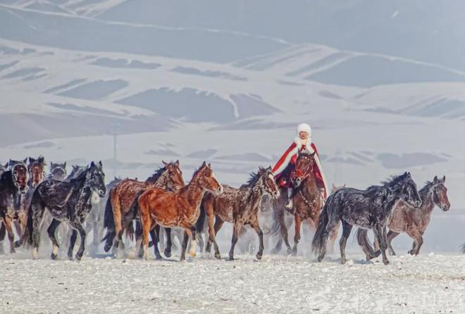 �½��������ݳ�̸�ؽ�����������