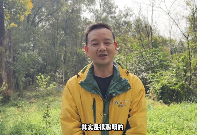 �ϻ��桰ûͷ�ԡ��͡������ˡ������Ȧ������Ա��������˫��̥����ʵ�ܴ����ܿ���_�ϻ��桰ûͷ�ԡ��͡������ˡ������Ȧ������Ա��������˫��̥����ʵ�ܴ����ܿ���_