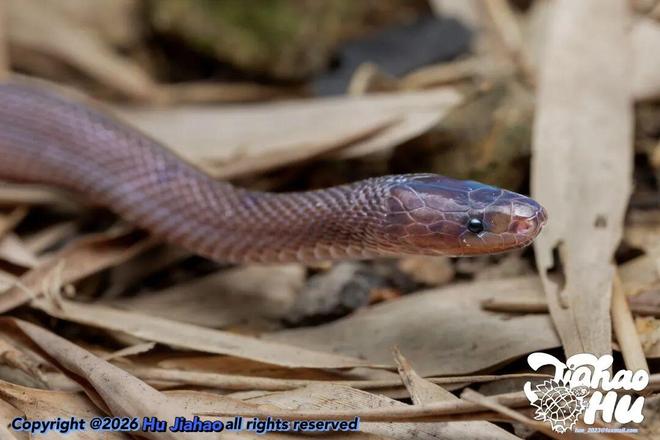 �㽭17����������ȷ��������֣�