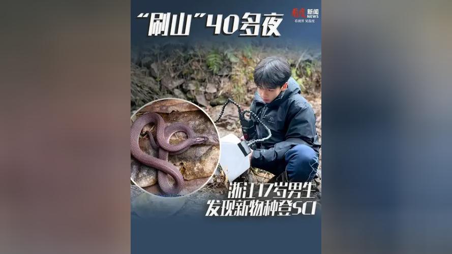 �������ַ���__���Ͽ������Ļ�Ӧ����