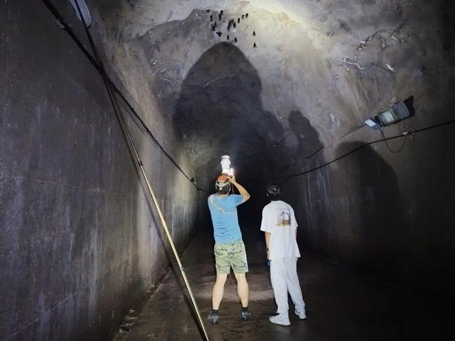 ���Ͽ������Ļ�Ӧ����__�������ַ���