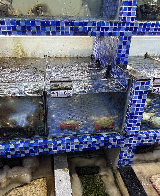 һֻ����з���ذ���ռ��һ�룿ˮ���г���������������_һֻ����з���ذ���ռ��һ�룿ˮ���г���������������_