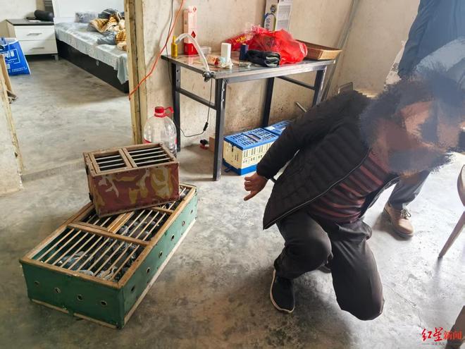 �г���ֵ��20��20ֻ�Ÿ뱻����