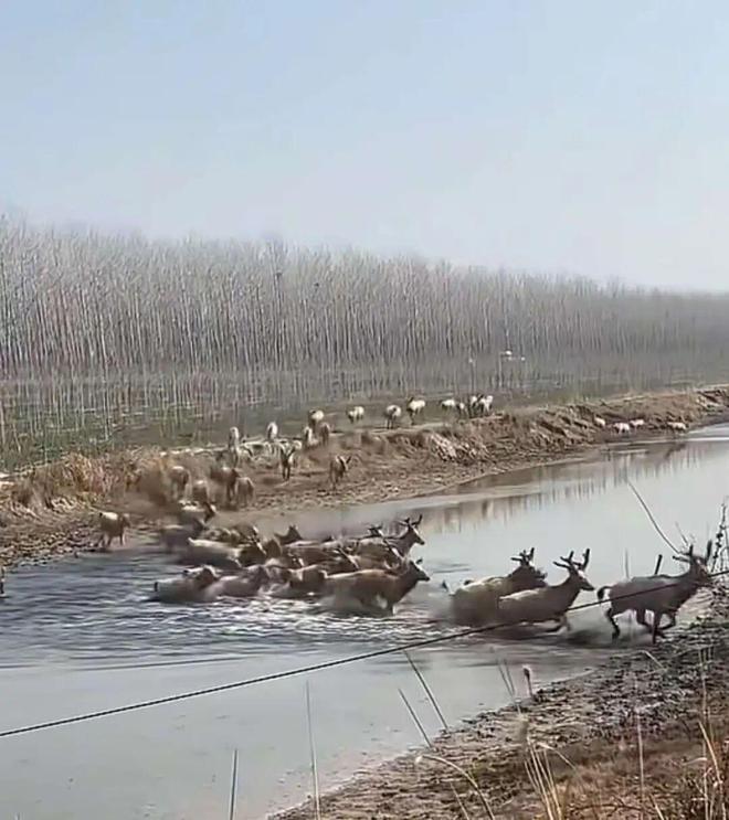 ��¹ҹ���Ⱥ��ӿ�ʳ��̤���