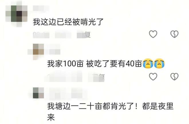 ũ������������ô����_ũ���������ס����׼_