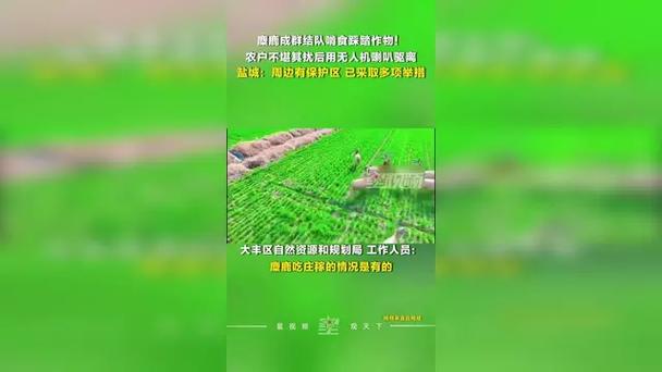 ũ���������ס����׼__ũ������������ô����