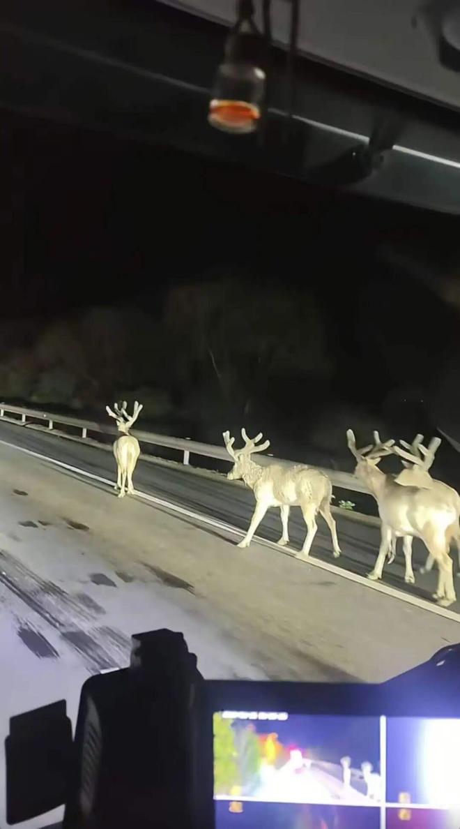 ũ���������ס����׼__ũ������������ô����