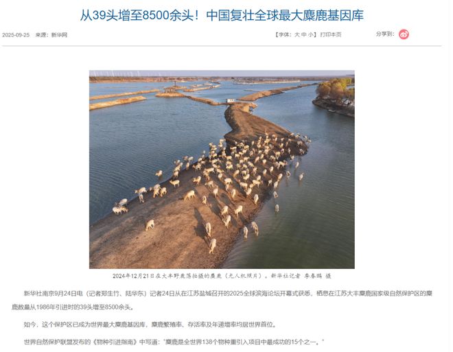 ũ���������ס����׼__ũ������������ô����