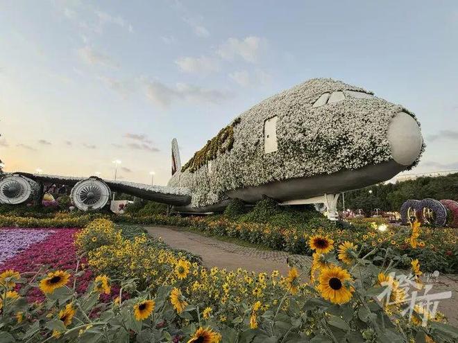 ��������ս��Ӱ����13�죬�ϰ��˵�ǰ������ô�������ؿ�����Ժ�й��ϰ������Ӱ�첻�󣬹�·�����Լ���_��������ս��Ӱ����13�죬�ϰ��˵�ǰ������ô�������ؿ�����Ժ�й��ϰ������Ӱ�첻�󣬹�·�����Լ���_