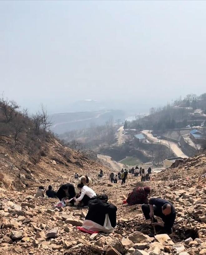 �ڵ��ƽ��_��ɽ���ڵ��ƽ���Թ�������_