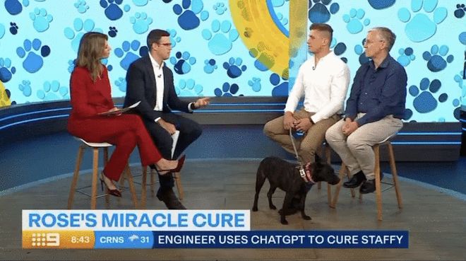 ��AI���ִꡱ��������Ȼ��֢��Ȯ����ȿ�