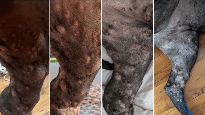 ��AI���ִꡱ��������Ȼ��֢��Ȯ����ȿ񻶣�ҽѧ��ȴ����ˮ_��AI���ִꡱ��������Ȼ��֢��Ȯ����ȿ񻶣�ҽѧ��ȴ����ˮ_