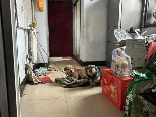 ���괩ֽ������Ƶ__С�ﴩֽ���