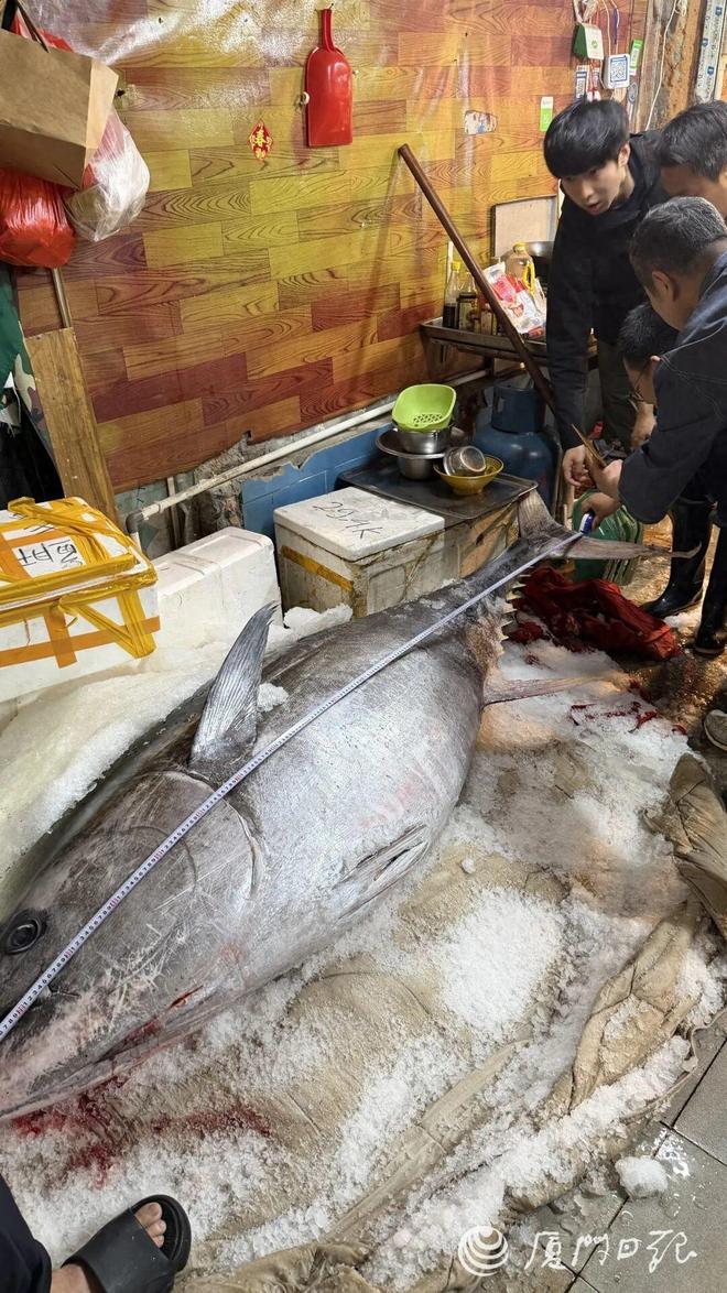 �������˵���560���ǹ�㣡�ڰ�