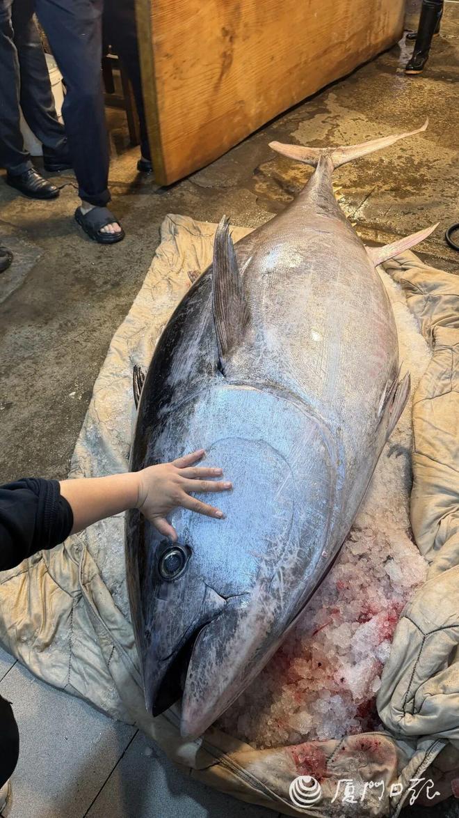 _�������˵���560���ǹ�㣡�ڰ��зָ�ۼ�ÿ500��100Ԫ_�������˵���560���ǹ�㣡�ڰ��зָ�ۼ�ÿ500��100Ԫ