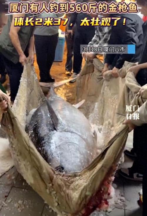 �������˵���560���ǹ�㣡�ڰ��зָ�ۼ�ÿ500��100Ԫ__�������˵���560���ǹ�㣡�ڰ��зָ�ۼ�ÿ500��100Ԫ