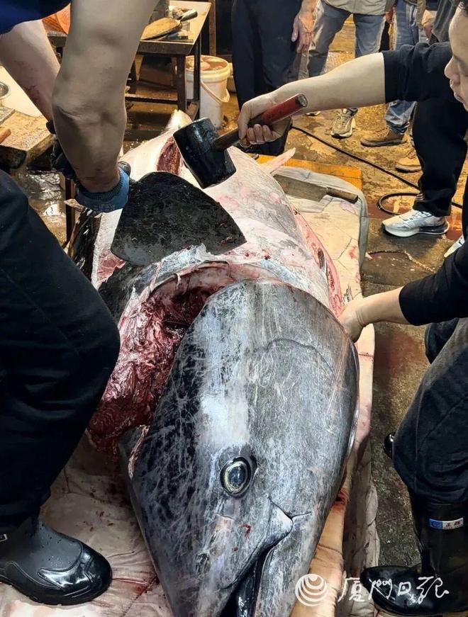 �������˵���560���ǹ�㣡�ڰ��зָ�ۼ�ÿ500��100Ԫ_�������˵���560���ǹ�㣡�ڰ��зָ�ۼ�ÿ500��100Ԫ_