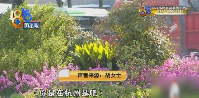 _�����������˺���ĸ�Խ�_�����Ը���ĸ